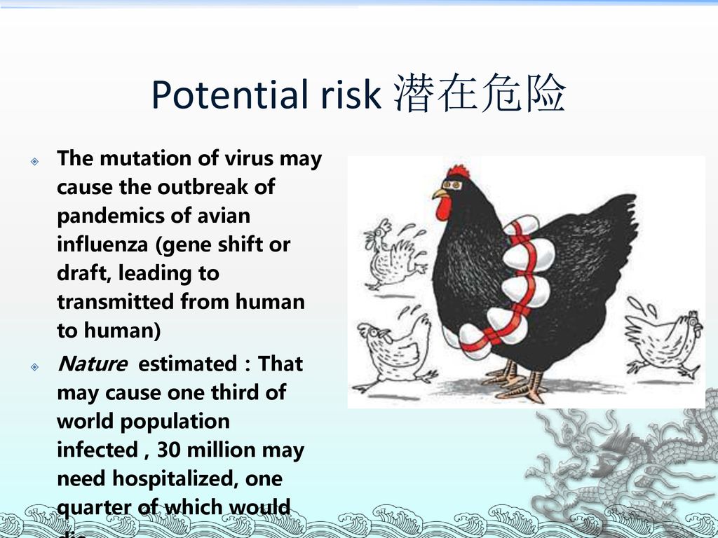 港澳49图纸澳门正版免费资料大全新闻：深度解析与实用指南