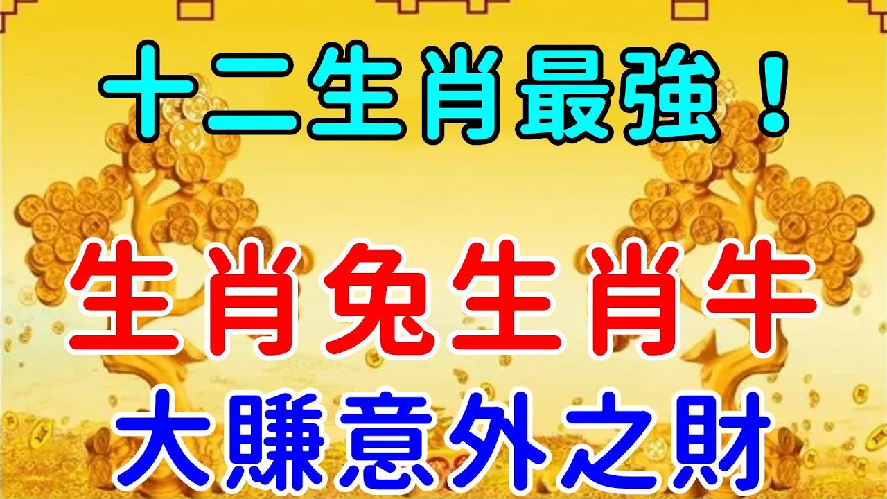 三肖免费新奥三肖免费门最新号码深度解析：获取技巧与风险防范全攻略