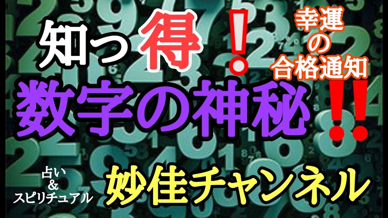 深度解析：新澳一肖一九森林称大王猜一肖，一码命中技巧与趣味解读