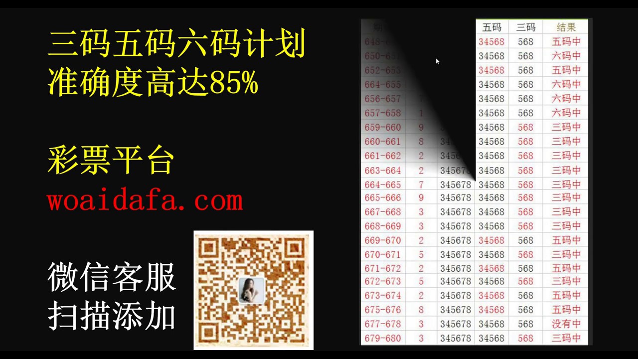 绝杀三肖摇钱树综合资料大全免费：深度解析与实战策略指南