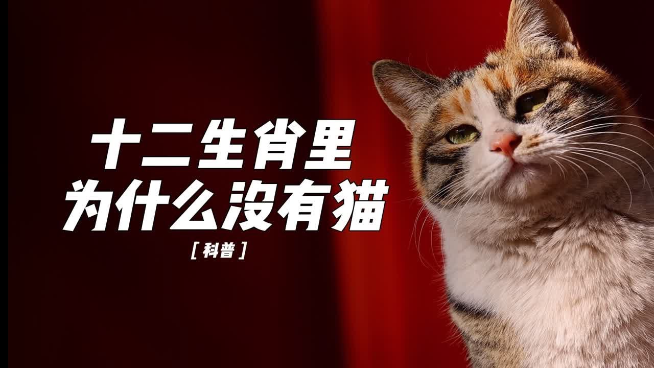 深度解析：新澳一肖哀丝豪竹猜一生肖动物，一码精准预测与文化解读