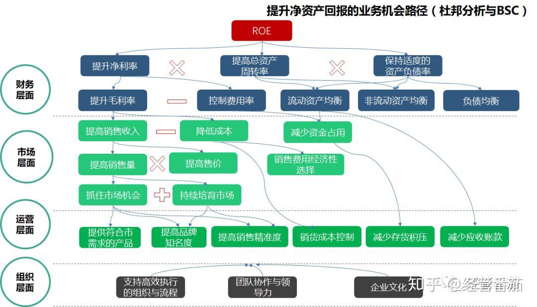 新澳一肖喜闻乐见查一肖深度解析：精准策略与技巧分享