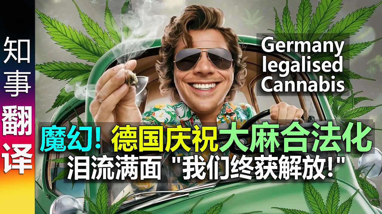 深度解析：必中一肖管家婆一码一肖资料大全一的奥秘与应用