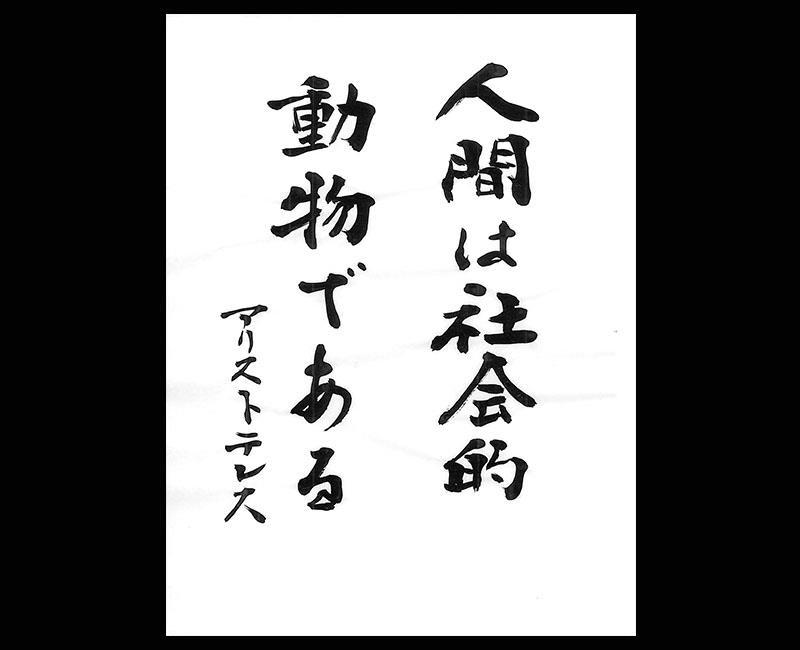 深度解析：新澳一肖爱在心中的动物一肖，你不可错过的投资指南