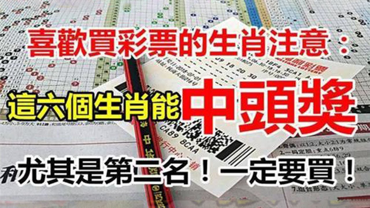 深度解析：必中一肖澳门最精准——澳门最精准的真正方法揭秘