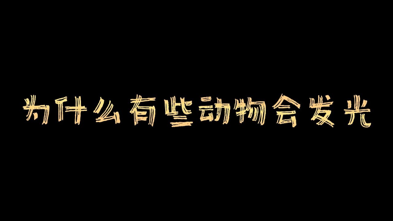 深度解析：新澳一肖表面发光动物打一生肖，你不可不知的玄机与趣味