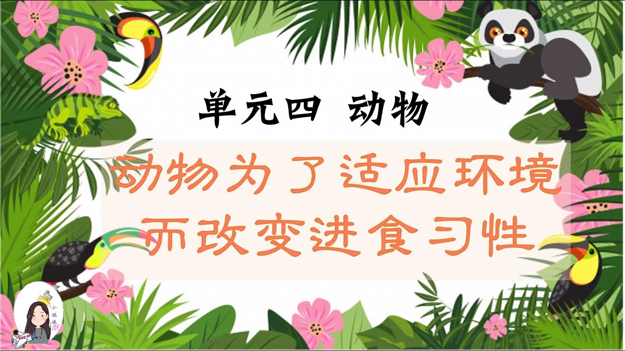 深度解析：新澳一肖野外丑事的动物猜一生肖？野生动物行为与生肖文化的趣味解读