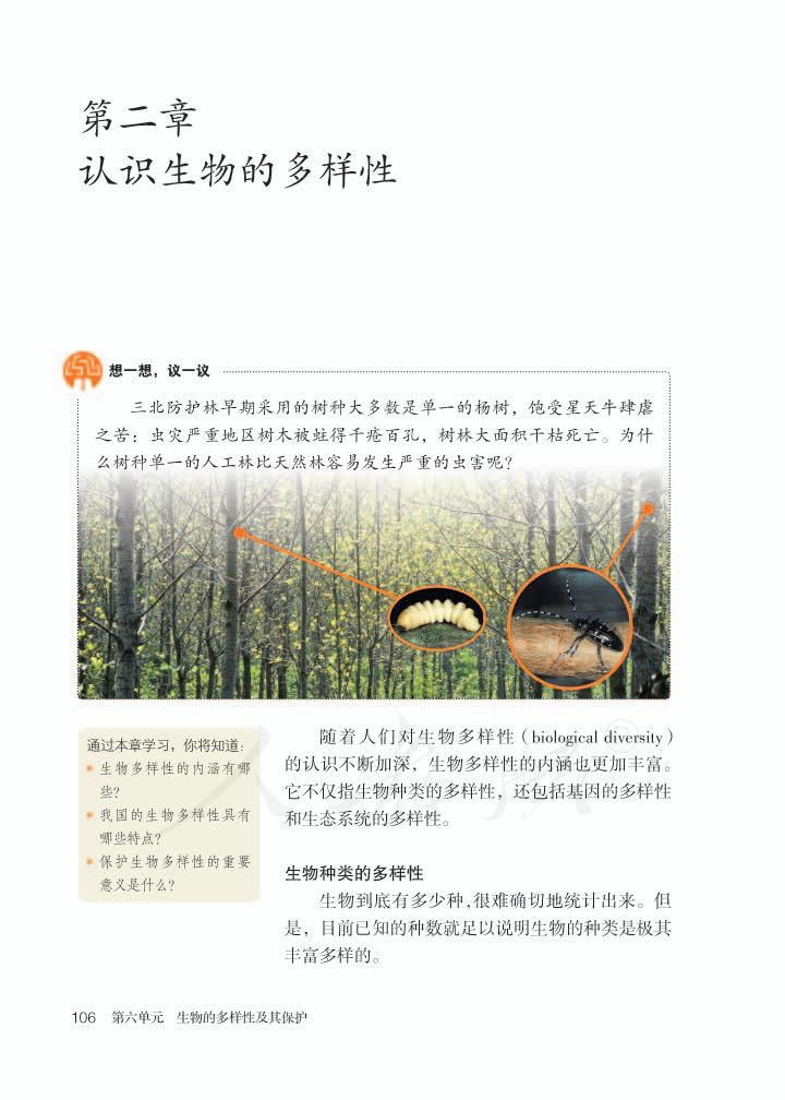 新澳一肖：罕见动物揭秘与生肖解读，深度解析与文化探寻