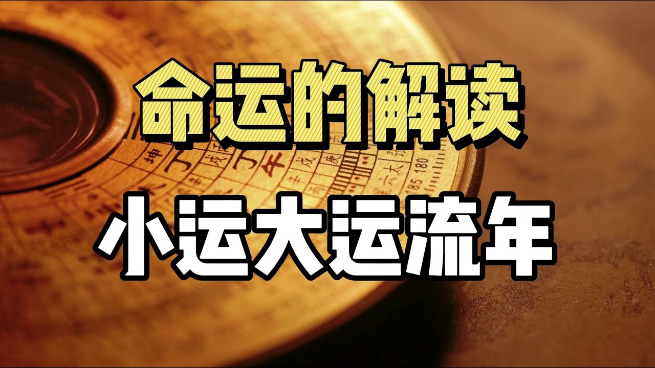 深度解析：新澳一肖燕权与十二生肖动物的奥秘，一肖玄机全攻略