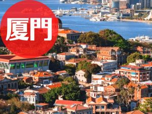 深度解析：白小姐厦门新春惠民举措，助您玩转鹭岛新年