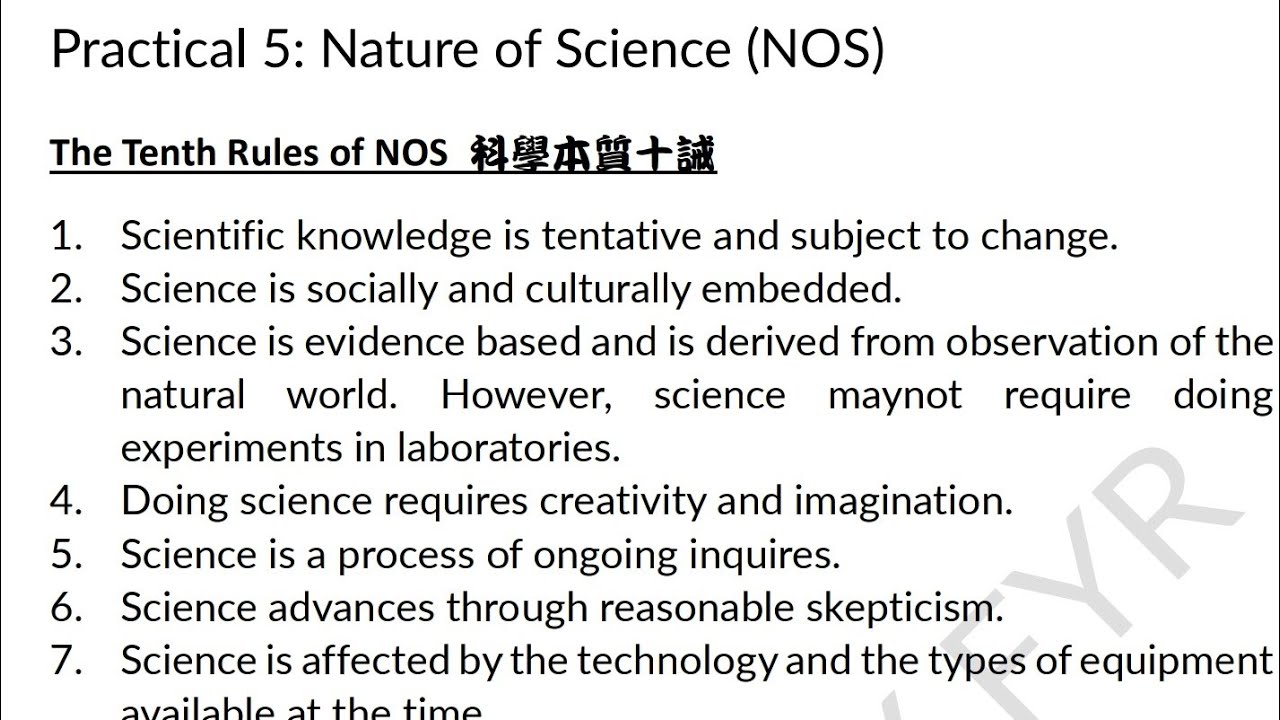 深度解析：新澳一肖单数今期必中奖猜一生肖的奥秘与技巧