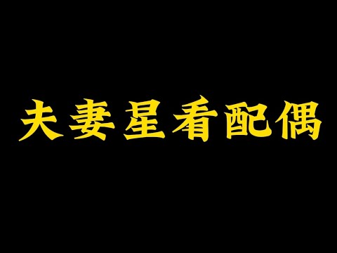 心水玄机神算子高手论坛：神算子精准堇深度解析与实战技巧