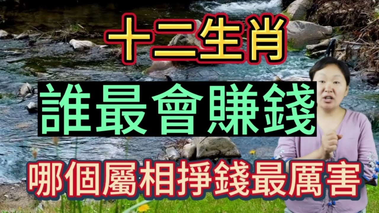 深度解析：新澳一肖财富之家打一肖的财富密码与生肖玄机