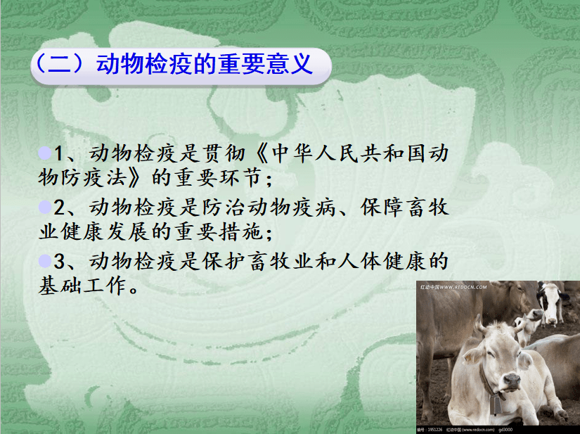 深度解析：新澳一肖如何缓解特定生肖动物的压力与健康问题？