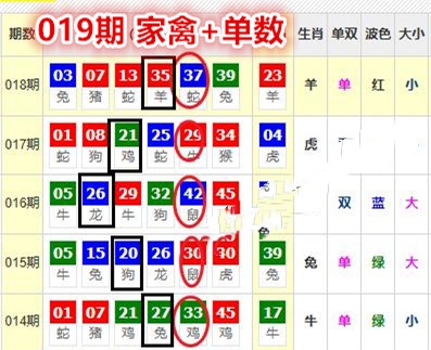 繁花似锦 第7页