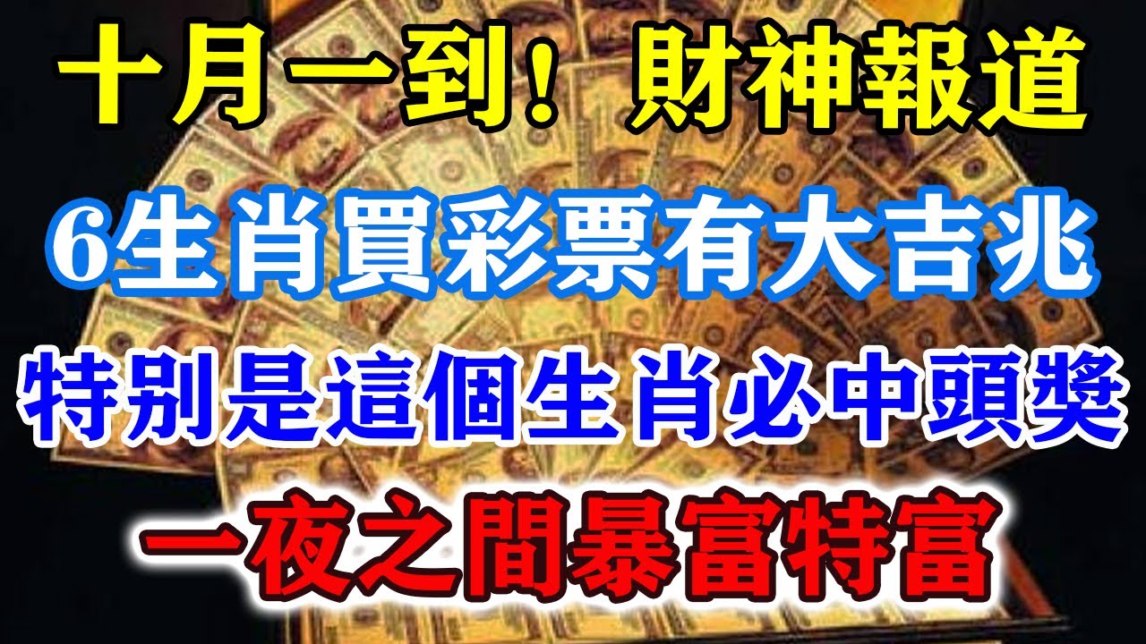 深度解析：新澳一肖单数特数有商量打一肖背后的玄机与选号策略