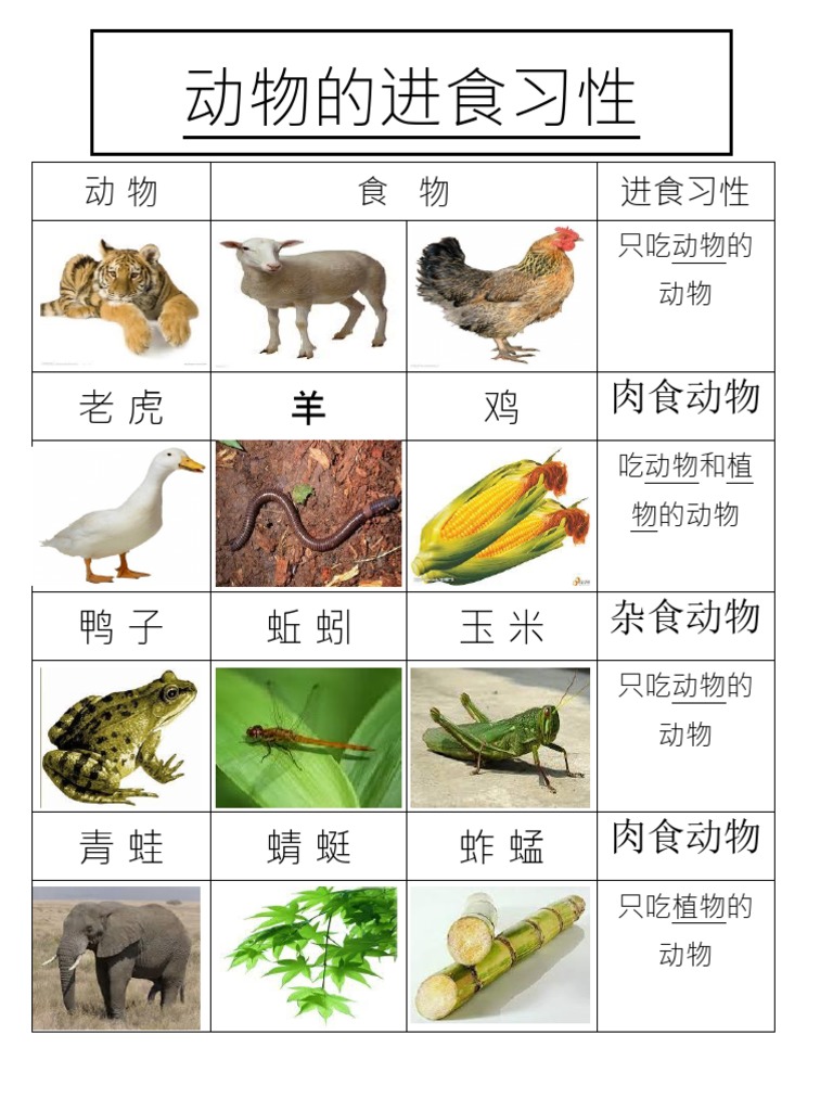 新澳一肖揭秘：谁是最勤快的生肖？深度解析与趣味解读