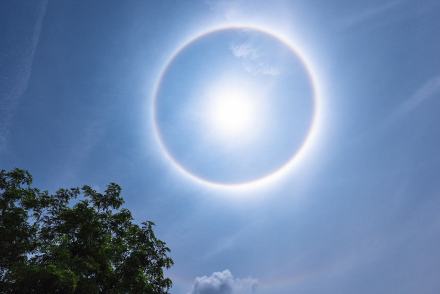 新澳一肖天空彩虹打一肖深度解析：规律、技巧与实战策略全攻略