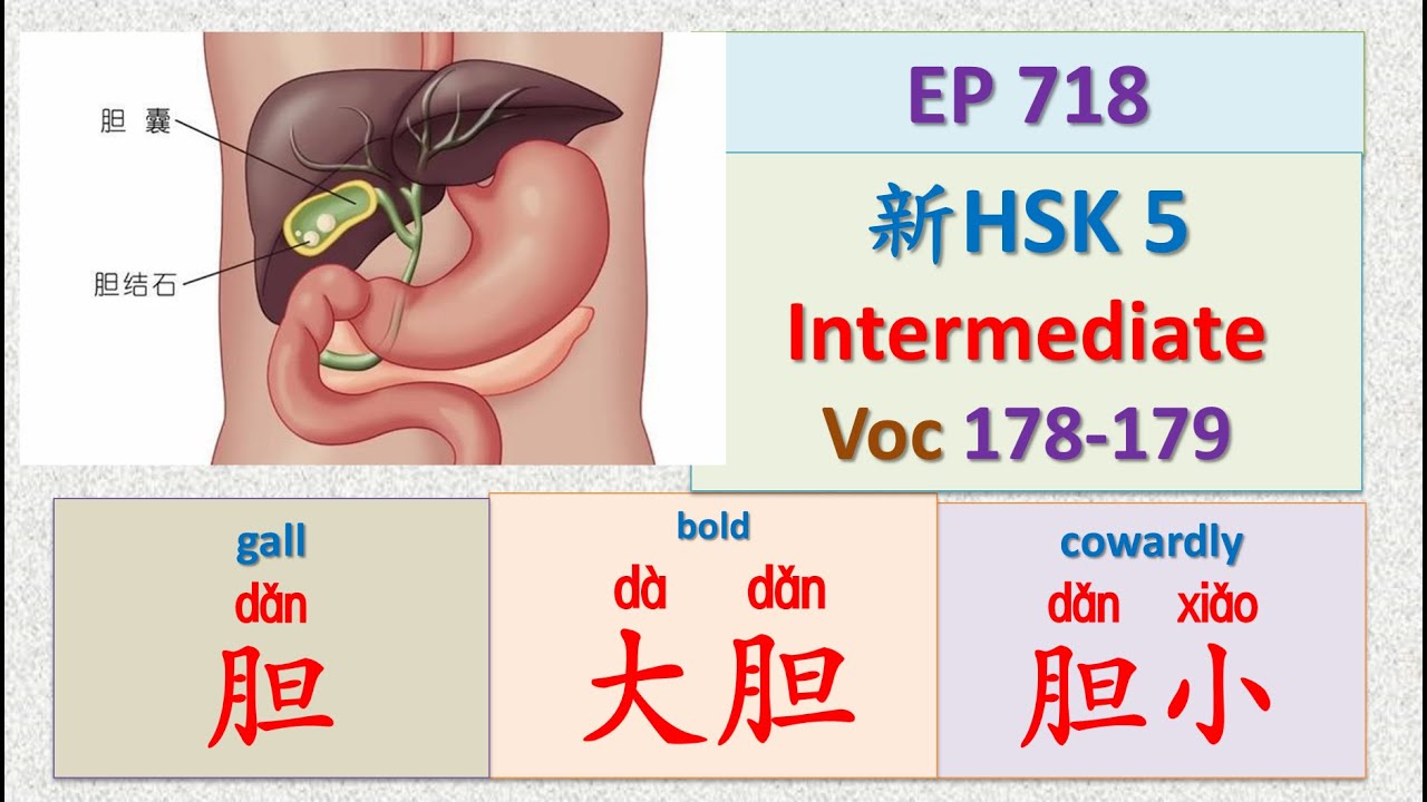 深度解析：新澳一肖胆大的动物打一生肖，胆大生肖的文化解读与趣味预测