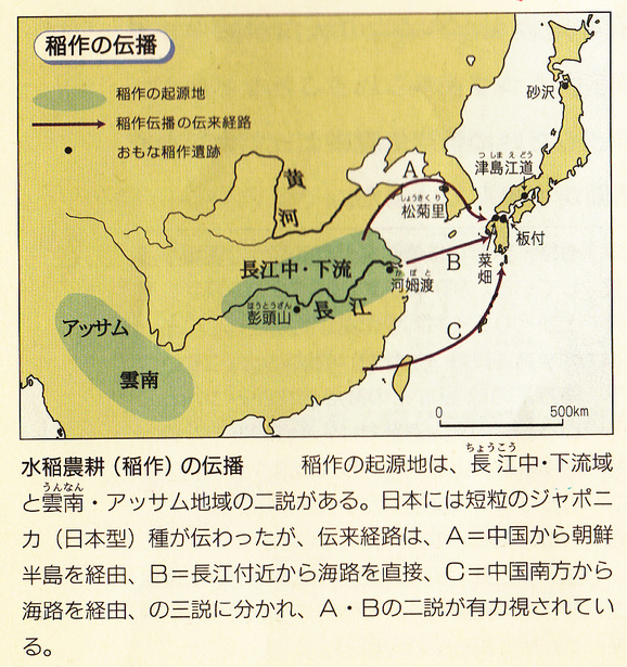 2025年2月22日 第80页