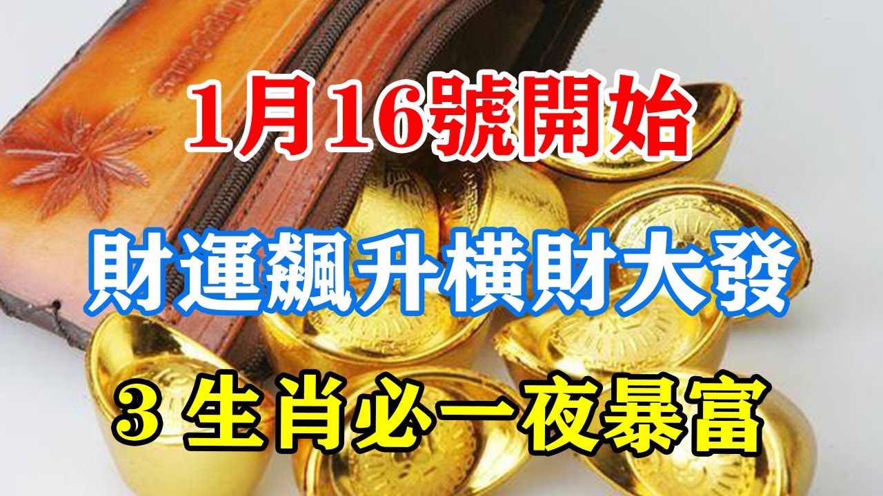 新澳一肖迎财神打一肖：深度解析与财运指南，助您新年行大运