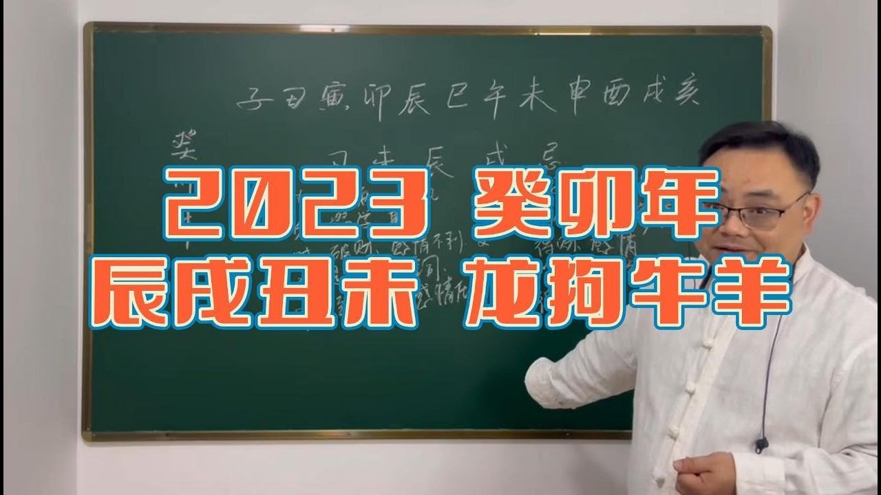 王中王管家婆一生肖中特：深度解析、规律技巧与实战应用全攻略