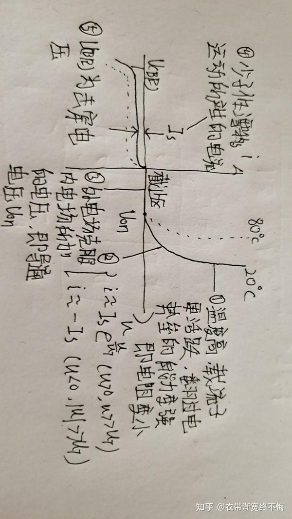 深度解析：新澳一肖好其心强动物，心性坚韧的生肖揭秘