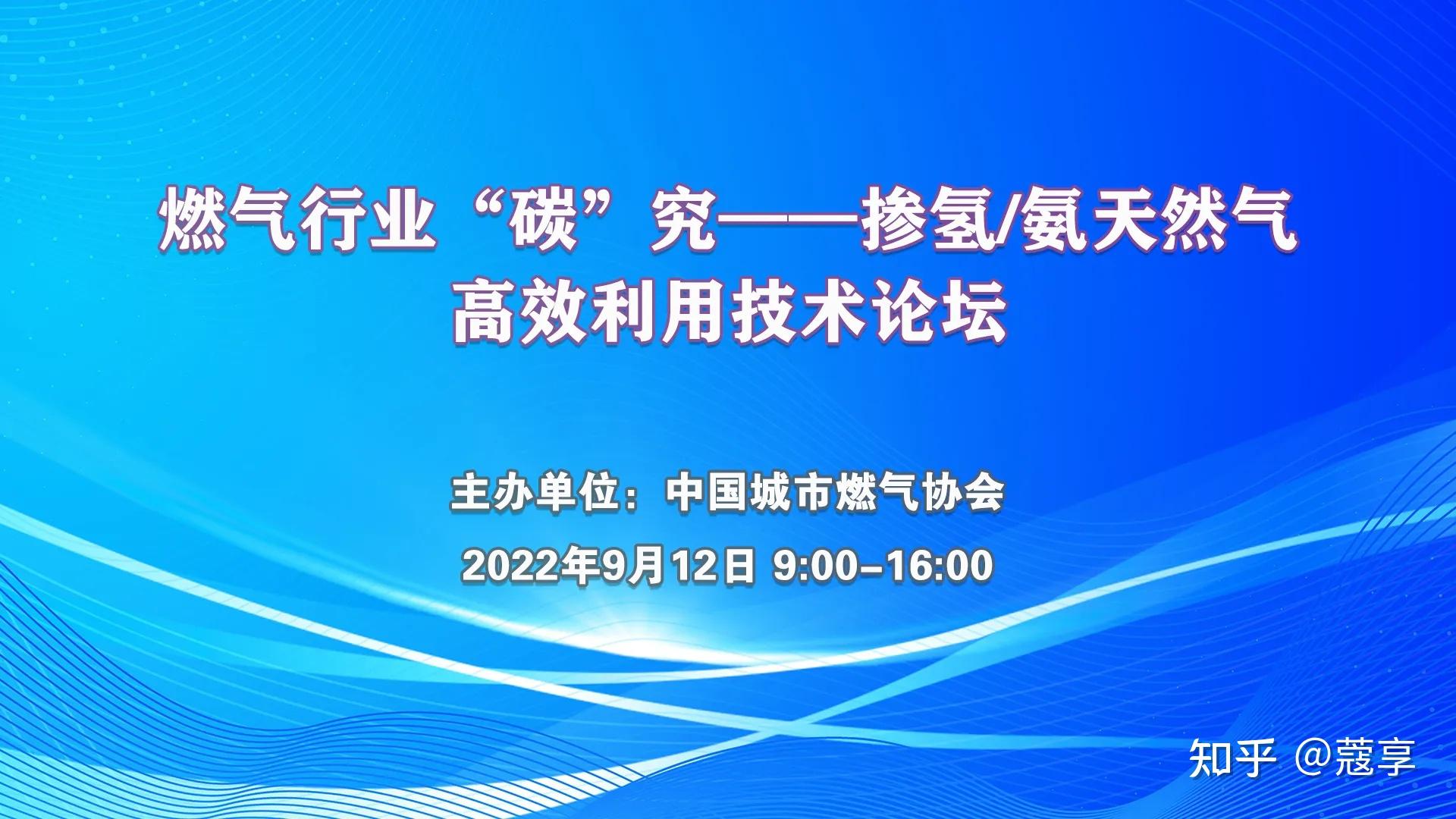 论坛挂牌免费资料大全精准版：深度解析与高效利用策略