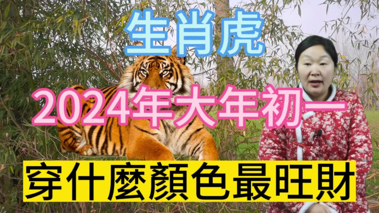 深度解析：新澳一肖胆大非为是老虎猜一肖的奥秘与技巧，老虎生肖运势分析