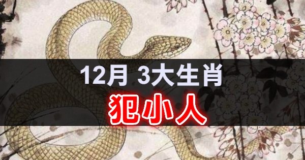 深度解析：三肖免费三肖免费门资料大全正版资料2025年免费下载的价值与获取攻略