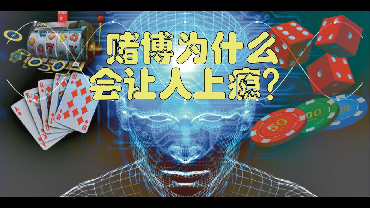 精准解析：新澳一肖三九来发出本期特码生肖玄机，助您把握财富先机