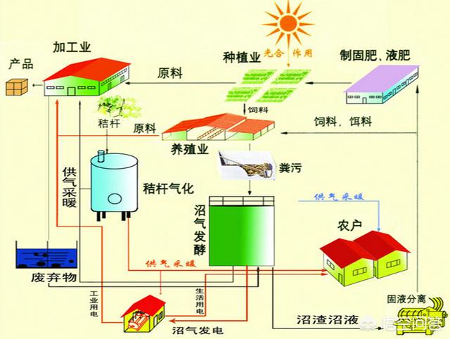 深度解析：新澳一肖是单产变不用说村一肖背后的农业新机遇与乡村振兴策略