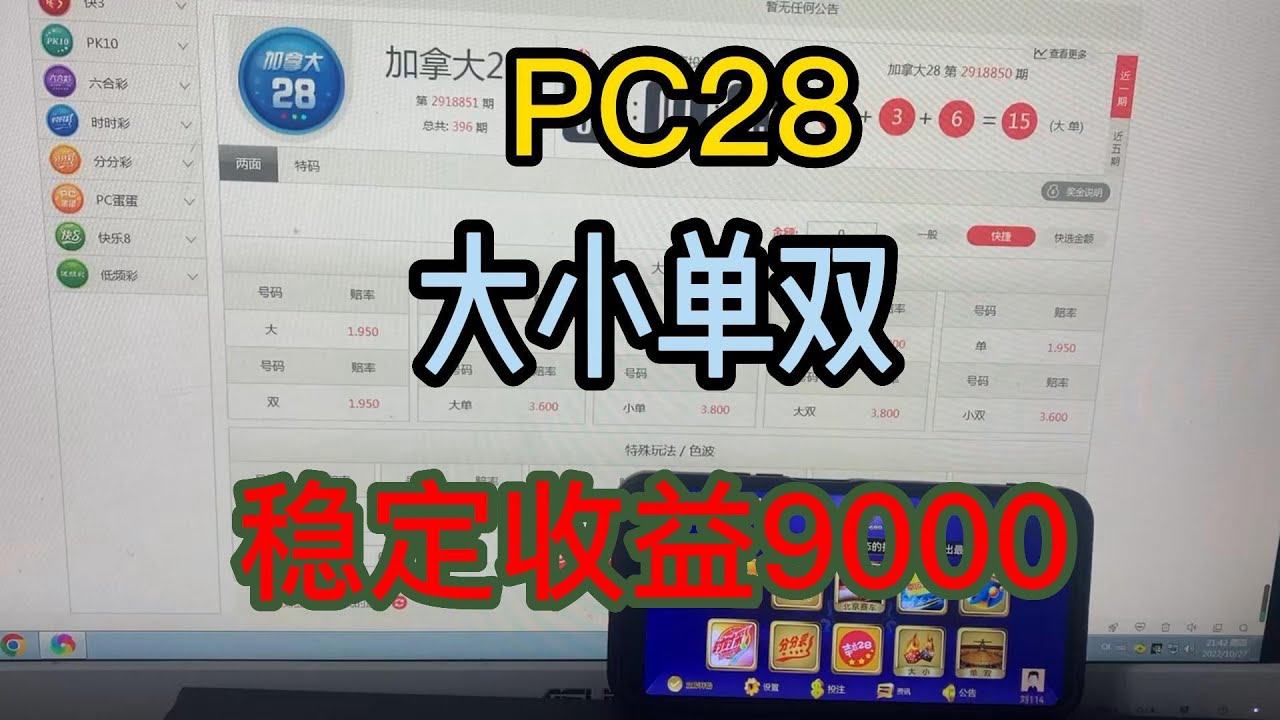 深度解析：49图论坛2022一肖一码100 终极指南与实用技巧