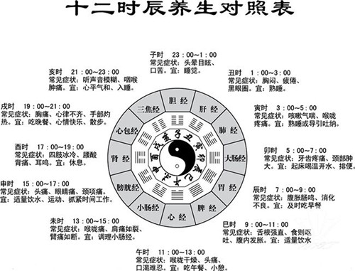 深度解析：49图论坛软玉温馨12生肖猜一肖的技巧与规律