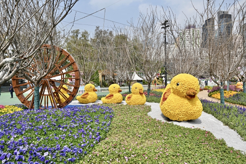 深度解析：49图论坛春回大地打一生肖2016，助您洞察先机