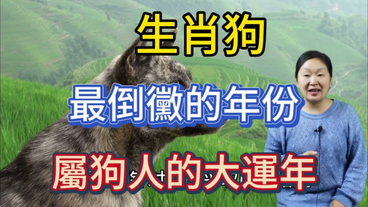 深度解析：49图论坛2009年生肖狗一生运程，把握命运关键！