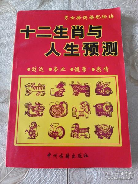 深度解析：49图论坛阳光宝贝打一肖，彩民进阶必读