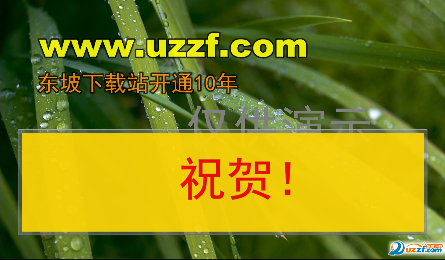 深度解析：49图论坛520肖战王一博大屏幕的幕后故事与影响