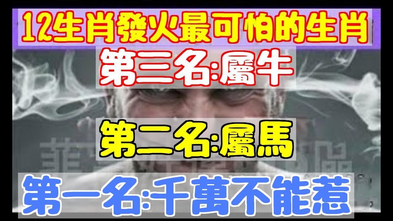 49图论坛一弓二白打一生肖深度解析：解密生肖玄机，把握财富密码