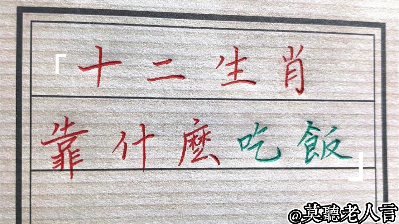 49图论坛：人见人爱是宝贝，解密生肖玄机与数字关联