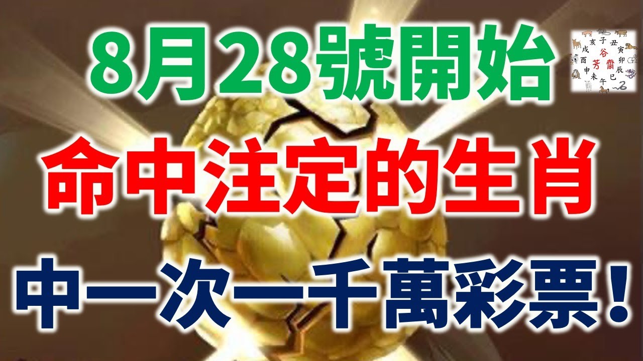 2025年3月16日 第91页