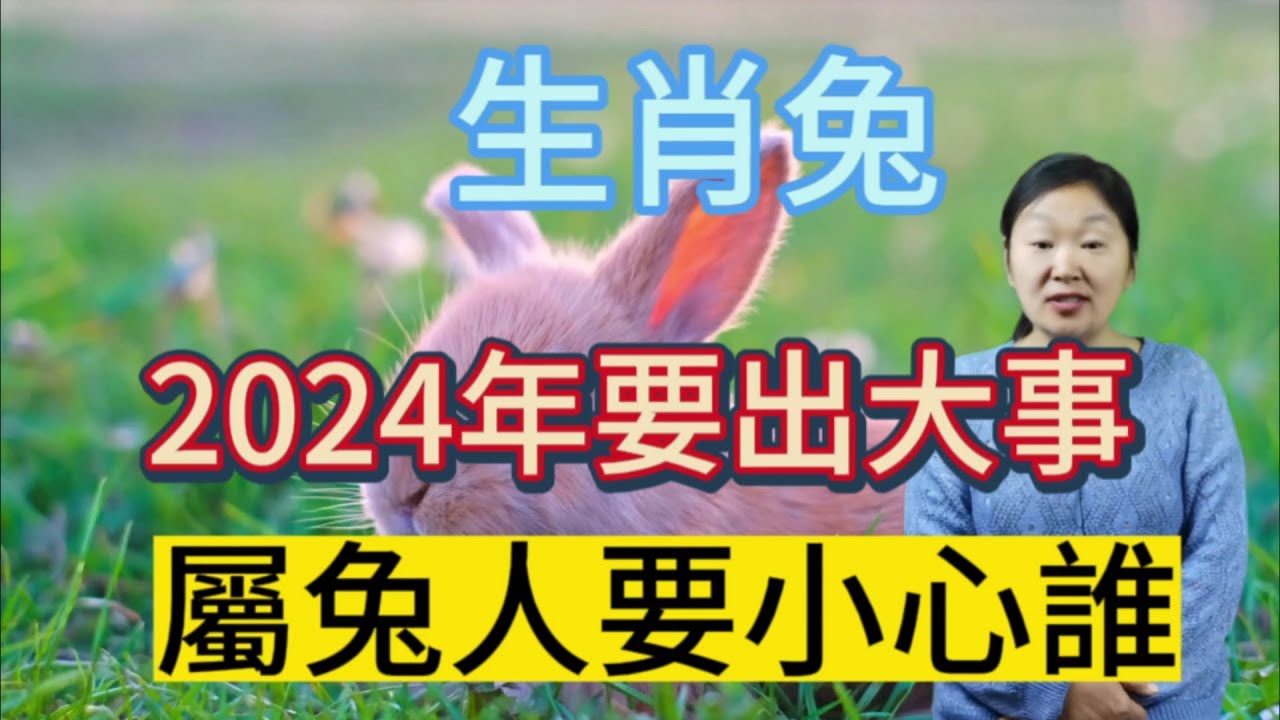 深度解析：49图论坛2022生肖兔一生运势，事业、财运、健康全攻略