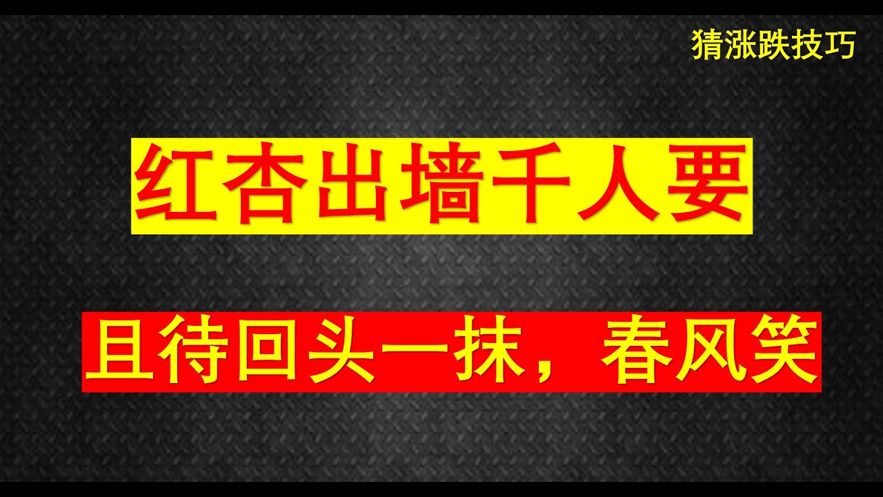 深度解析：49图论坛澳门084期一肖背后的玄机与实用价值