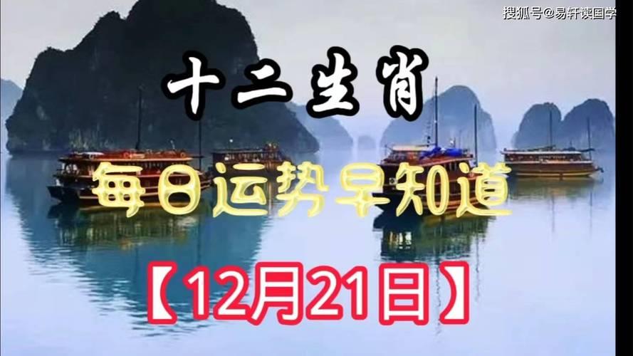 49图论坛八方庚明共对月打一肖：深度解析生肖玄机与数字奥秘