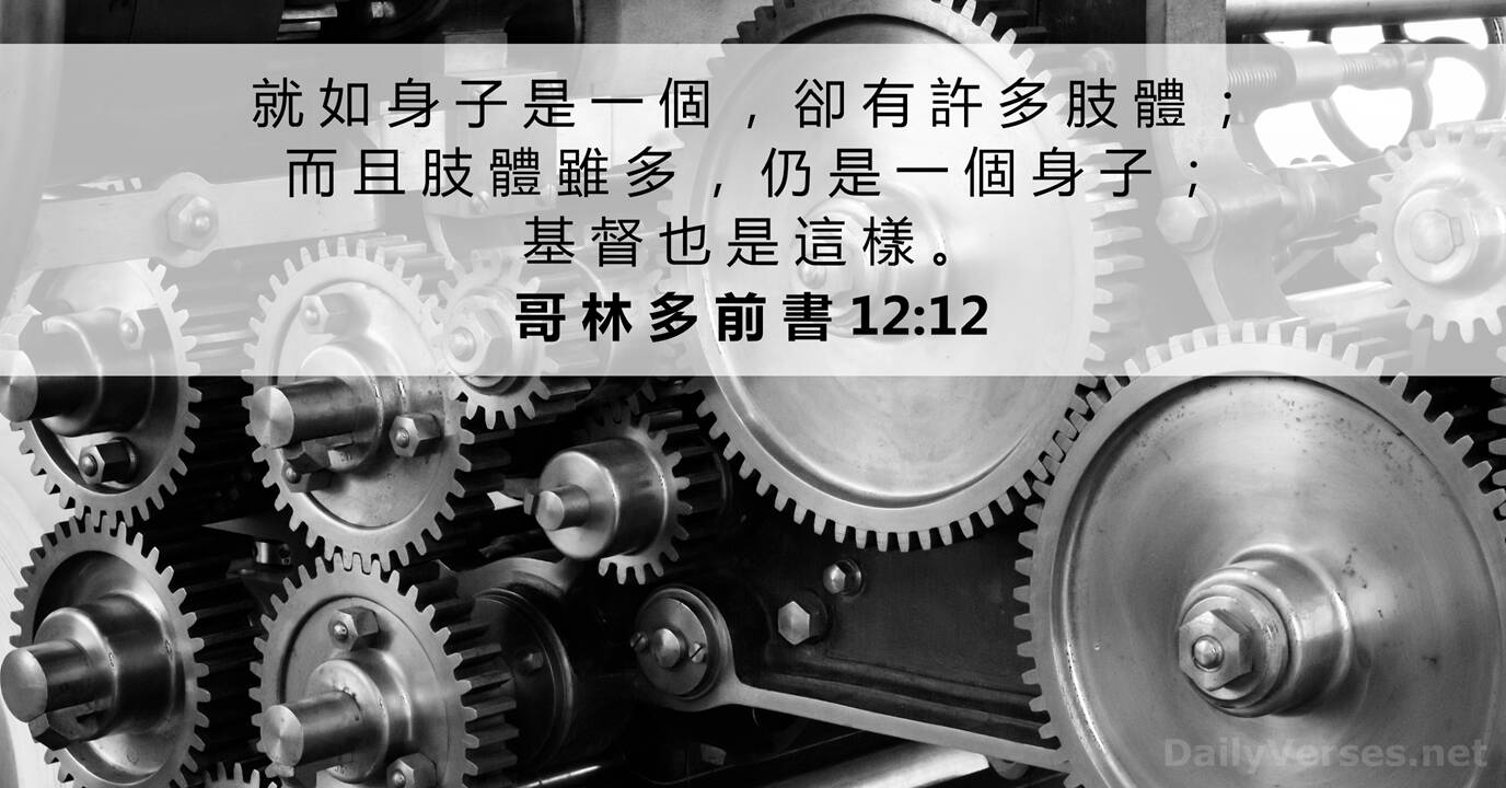 49图论坛博君一肖：深度解析“馋他身子12”现象，还原真相