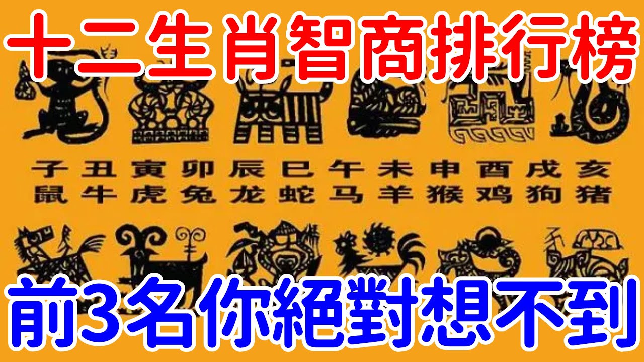 49图论坛：12生肖智力大比拼，谁才是最聪明的生肖？深度解析