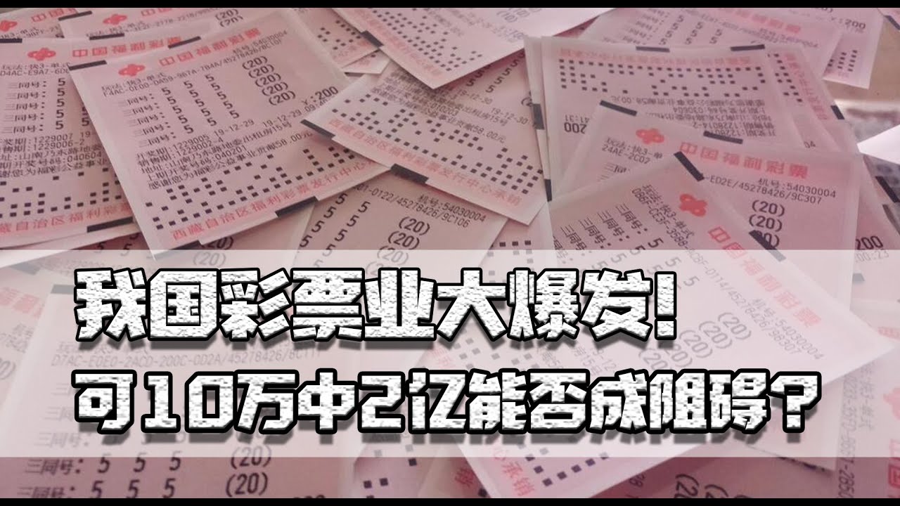 49图论坛白小姐选四肖选一肖深度解析：精准选号技巧与实战策略