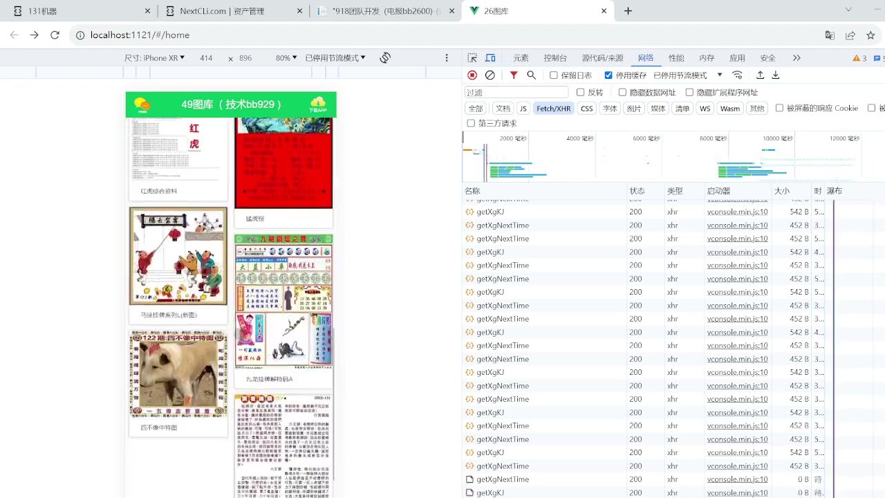 深度解析：49图论坛614612一肖一码背后的数字玄机与风险提示