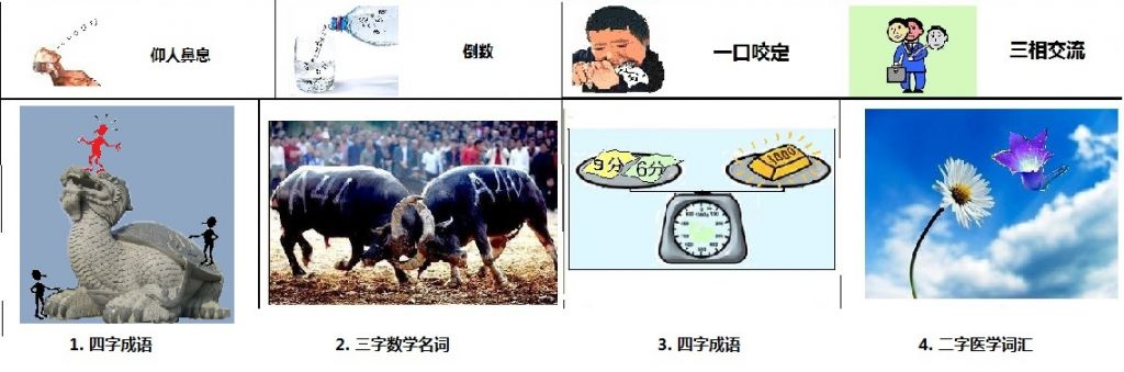 49图论坛解密：登高远眺暗藏玄机，十二生肖精准解析