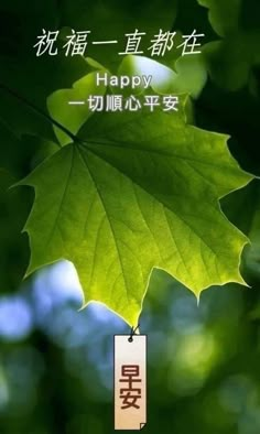 49图论坛澳门幽默猜测图绝杀一肖深度解析：提升趣味与技巧全攻略